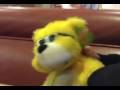 dancen bear