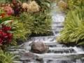 SLIDE SHOW FEATURING NATURE.... TORNADO IN TENNESSEE & MORE!!!