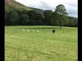 English National Sheepdog Trials 2007 - Tom Huddleston