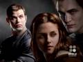 TWILIGHT VAMPIRE EMMETT CULLEN SPEAKS