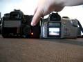 Canon 40D Shutter Sound vs Canon 300D
