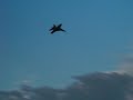 Superhornet Demo