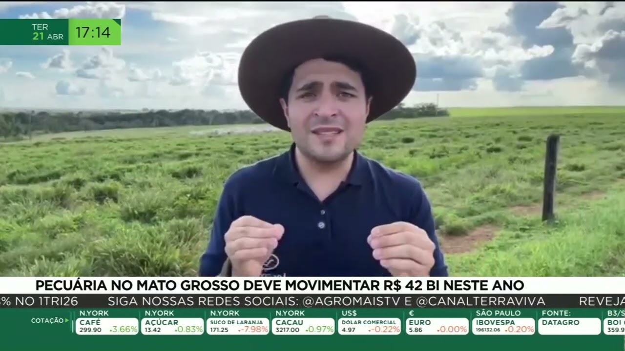 Pecuária no Mato Grosso deve movimentar R$ 42 bi neste ano