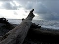 Taholah Beach