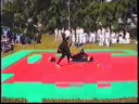 kimungvodao song luyen mot deimostrazione tecnica