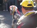Danza de los Viejitos - Zamora, Mich Danza de los Viejitos - Zamora, Mich