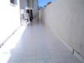 Pug video
