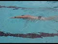 Kraulen Triathlon