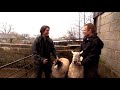 Adam Henson Sheep Bloopers - Lambing Live - BBC Two