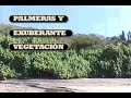 TECPAN, GUERRERO.  - PLAYA OJO DE AGUA - tecpanecos.com.mx