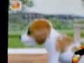 Nintendogs-Neck-Glit