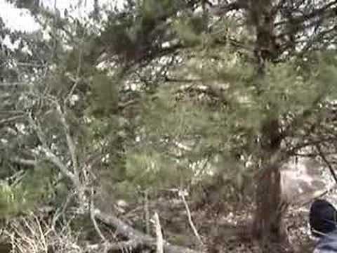 Westphalia Holeshot Video