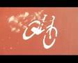 Spot ICV-EUiA de Cambrils - Eleccions municipals 2007