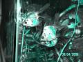 Peacefull World!!.wmv