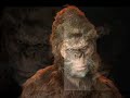 bigfoot press conference update: part 1
