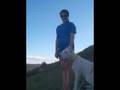 Dogo Argentino video