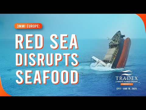 3MMI Europe: Red Sea Crisis Extends Asia–Europe Delays, Freight Rates Hold, Products Exposed to Disruptions