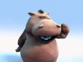 hippo and dog
