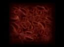 Blood cell test