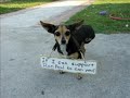 \"Tres\" the 3 legged Ron Paul supporter