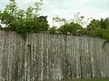 Hurricane Ike - 3:40 PM