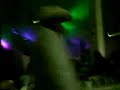 los siete latinos balancan tabasco coco loco