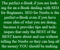 SEO for Noobs e-Book