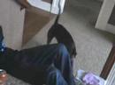 Science project bloopers Science project bloopers