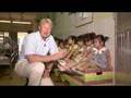 Vietnam's baby boom crisis - 04 Dec 07
