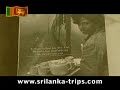 Sri Lanka, Tea Plantation -  Part 01 - By Erickson Tissera