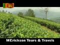 Sri Lanka, Tea Plantation - Part 01 - By Erickson Tissera