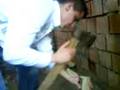 videos de Stoka i Budala