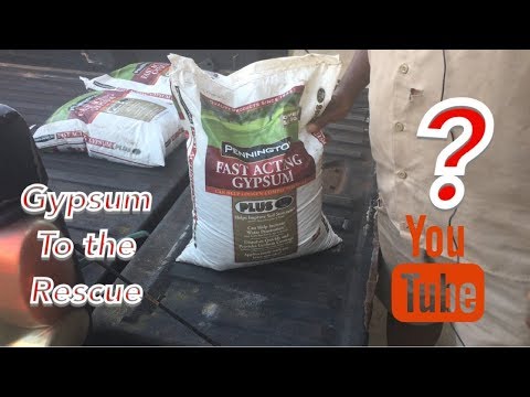 video-linktoworks-What is Gypsum and how to apply it.