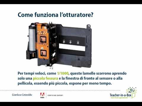 Fotocamere reflex: otturatore e sincronizzazione flash Fotocamere reflex: otturatore e sincronizzazione flash