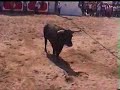 Touros - Samora Correia