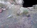 CUEVA DEL MUERTO