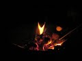 Cooking marshmallows