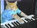 Click here to watch this video The charlie schmidt's quot;cool catquot;