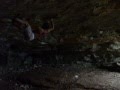 Fred Rouhling Akira part 9b