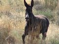 Los Tajos del Cejoz Los Tajos del Cejoz