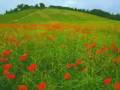 Turismo en Toscana