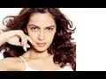 Jacqueline Fernandes, Zarine Khan & Shazahn To Look Hot In Housefull 2