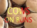 Cows with Guns