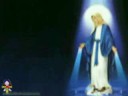 ترنيمة قلب العدرا من البوم قلب العدرا لفريق تاماف ماريا tamav maria