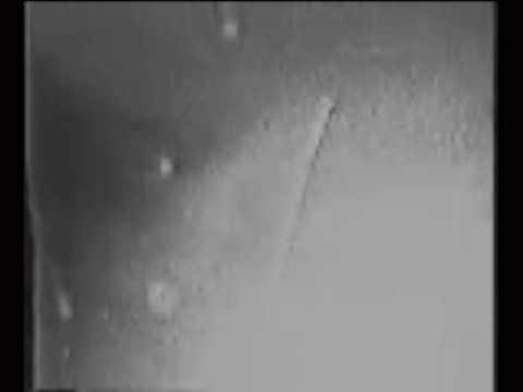 UFO - OVNIS GRABADOS DESDE EL COLUMBIA - NASA