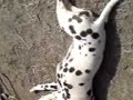 laughter-therapy.html