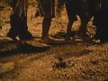 Mary Pickford In Sparrows Trailer - YouTube