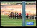 1994 (347) Gr.Pr. MEMORIAL DUQUE DE TOLEDO (C.P.)(PARTIPRAL)