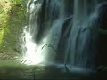 Silver Falls State Park Music Video