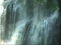 Silver Falls State Park Music Video